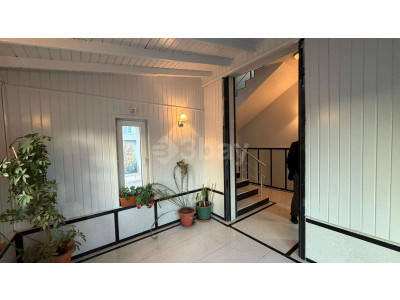 WhatsApp Image 2026-04-01 at 13.10.44 (1).jpeg